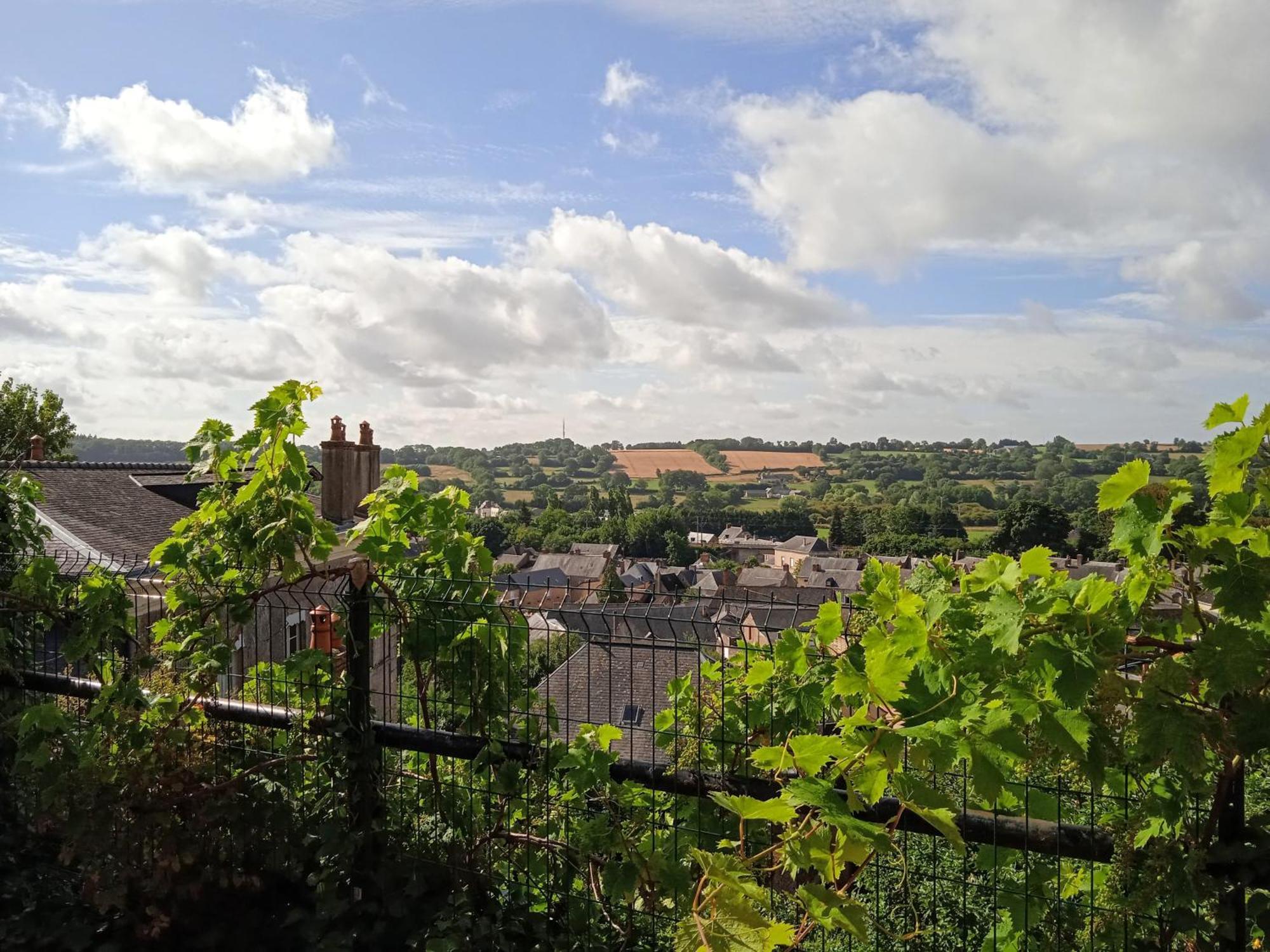Charming Detached 2 Bedroom Ancient House In Medieval Quarter Of A Small Town In The Pays De La Loire, France Sillé-le-Guillaume Exteriér fotografie